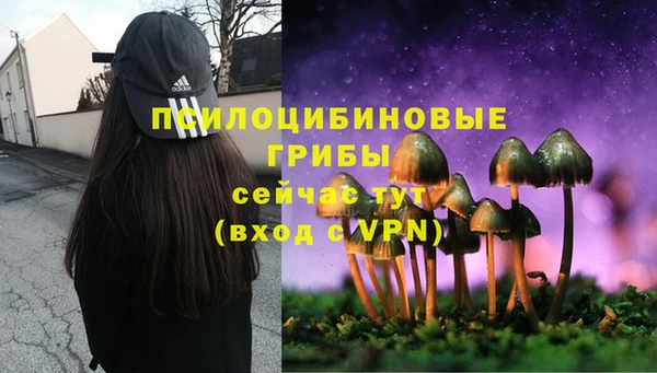 ПСИЛОЦИБИНОВЫЕ ГРИБЫ Богородск