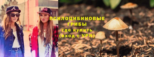 ПСИЛОЦИБИНОВЫЕ ГРИБЫ Богородск
