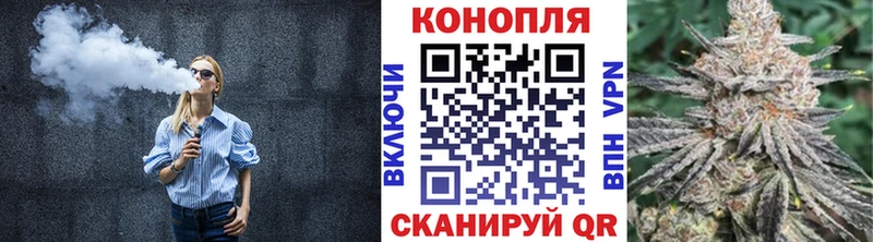 Купить закладки  Сясьстрой  Каннабис MAZAR 